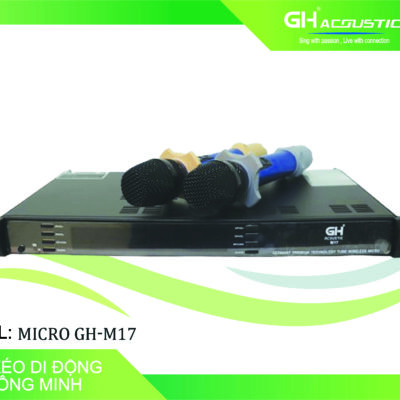 Micro GH-M17