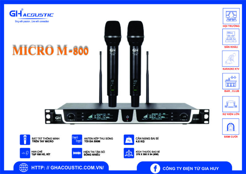 MICROPHONE M - 800